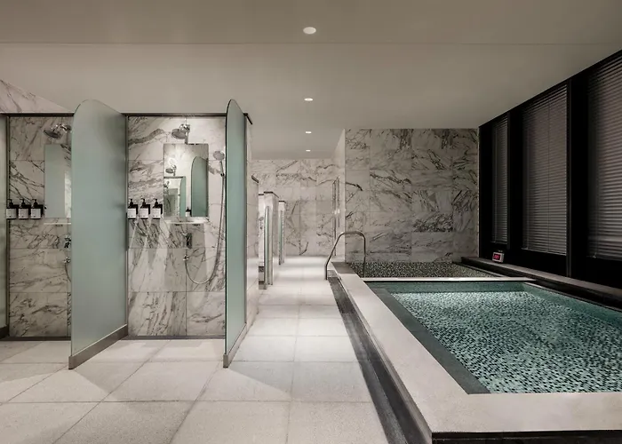 Hotel Novotel Ambassador Yongsan 5*